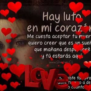 Meet your Posher, Deysita